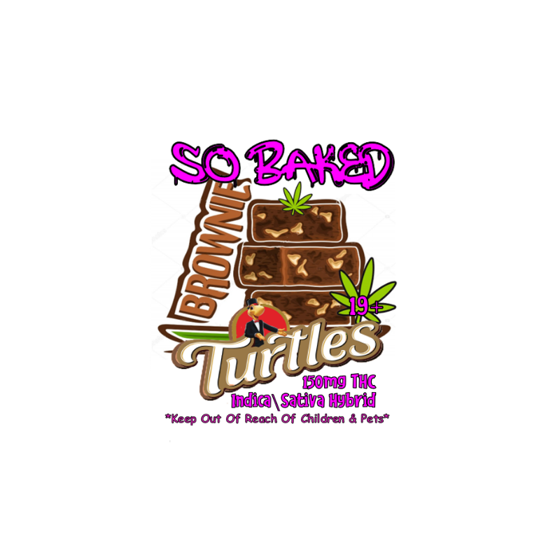 BROWNIE - TURTLES - Image 3